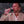 Load and play video in Gallery viewer, FONTANILLE - AOP FAUGERES
